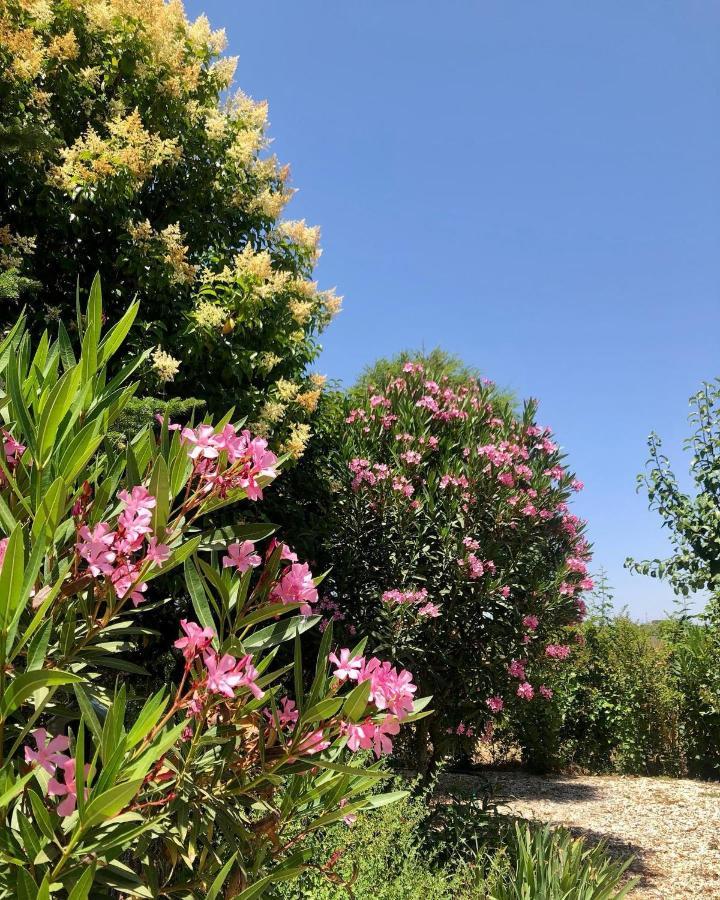 Quinta Da Trombeta Guest House Borba Exterior photo